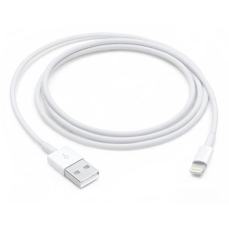 Apple Lightning to USB Cable (1 m)