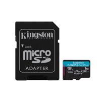 Card de Memirie KINGSTON, 1TB, Canvas GO Plus,