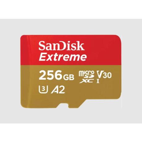 Card de Memorie SanDisk, 256GB, UHS-I, Class 10, 80MB/s + Adaptor