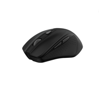 Mouse Trust Nito Silent, rezolutie maxima 2200 DPI, negru