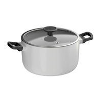 Covered stockpot non-stick Glints Spirit 24cm